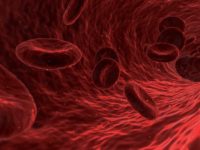 Wie Theranos alle an der Nase herumführte